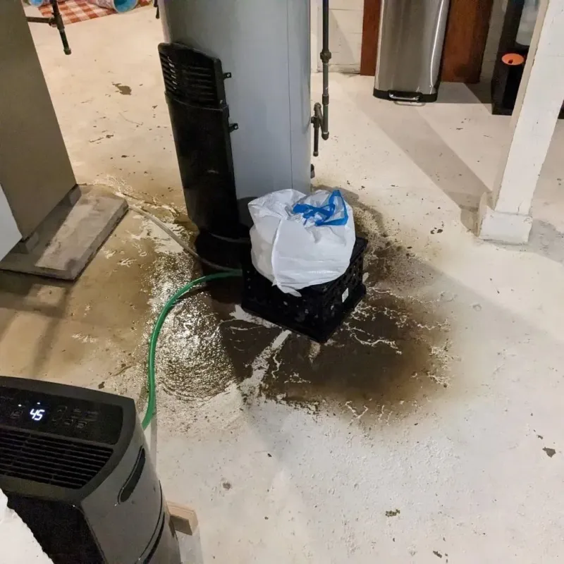 Sewage Backup Cleanup Service in Guayama Municipio, PR